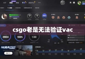 csgo老是无法验证vac