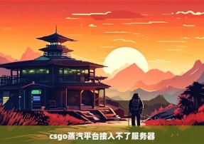 csgo蒸汽平台接入不了服务器