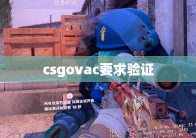 csgovac要求验证