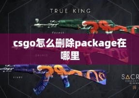 csgo怎么删除package在哪里