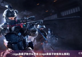 csgo卖箱子有什么平台 (csgo卖箱子的钱怎么提现)