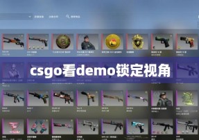 csgo看demo锁定视角