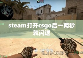 steam打开csgo后一两秒就闪退