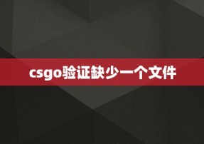 csgo验证缺少一个文件