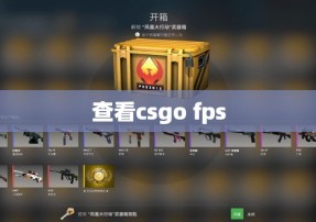 查看csgo fps