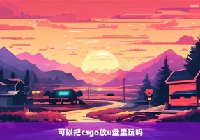 可以把csgo放u盘里玩吗