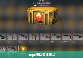 csgo团队竞技模式