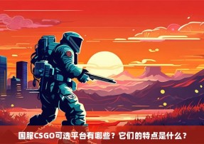 国服CSGO可选平台有哪些？它们的特点是什么？