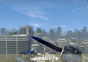 csgo中文打不了字