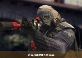 steam库中找不到csgo