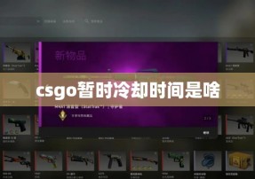 csgo暂时冷却时间是啥