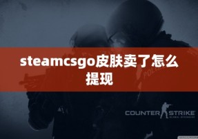 steamcsgo皮肤卖了怎么提现