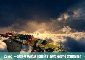 CSGO 一键急停功能还能用吗？是否需要特定设置呢？