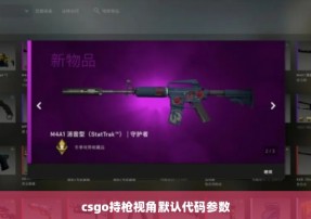 csgo持枪视角默认代码参数