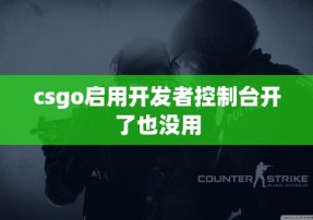 csgo启用开发者控制台开了也没用