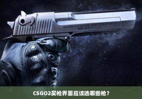 CSGO2买枪界面应该选哪些枪？