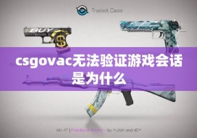 csgovac无法验证游戏会话是为什么