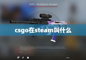 csgo在steam叫什么