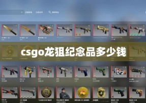 csgo龙狙纪念品多少钱