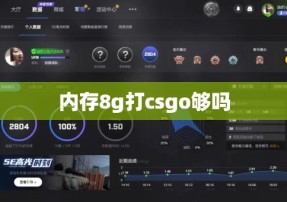 内存8g打csgo够吗