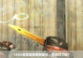 CSGO皇冠磨损哪种最优，你选对了吗？