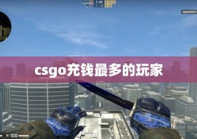 csgo充钱最多的玩家