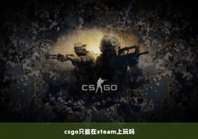 csgo只能在steam上玩吗