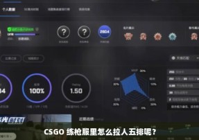 CSGO 练枪服里怎么拉人五排呢？