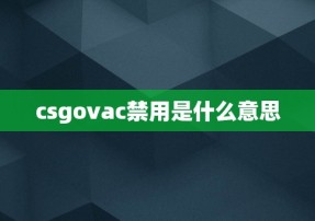 csgovac禁用是什么意思