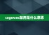 csgovac禁用是什么意思