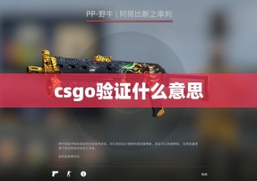 csgo验证什么意思