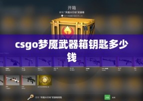 csgo梦魇武器箱钥匙多少钱