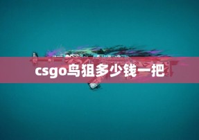 csgo鸟狙多少钱一把