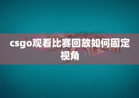 csgo观看比赛回放如何固定视角