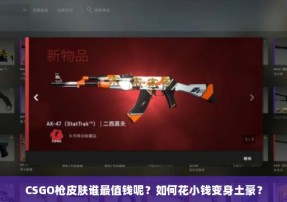 CSGO枪皮肤谁最值钱呢？如何花小钱变身土豪？