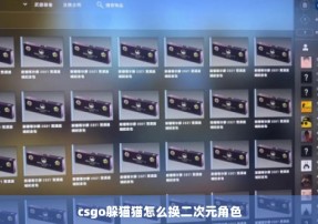 csgo躲猫猫怎么换二次元角色