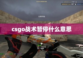 csgo战术暂停什么意思