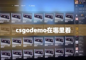 csgodemo在哪里看