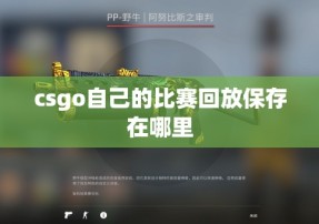 csgo自己的比赛回放保存在哪里