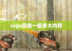 csgo回放一般多大内存