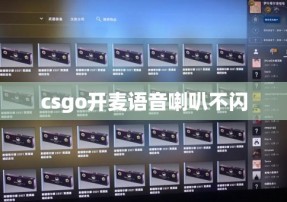 csgo开麦语音喇叭不闪