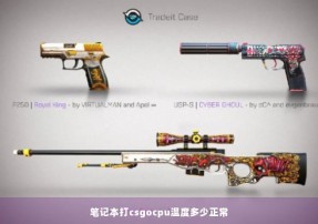 笔记本打csgocpu温度多少正常