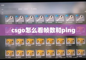 csgo怎么看帧数和ping