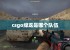 csgo绿龙是哪个队伍