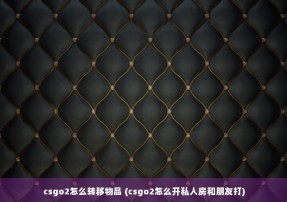 csgo2怎么转移物品 (csgo2怎么开私人房和朋友打)