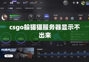 csgo躲猫猫服务器显示不出来