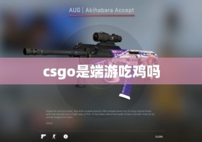 csgo是端游吃鸡吗