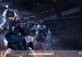 csgo600以内的折叠刀