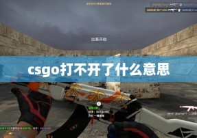 csgo打不开了什么意思