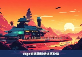 csgo燃烧弹和燃烧瓶价格